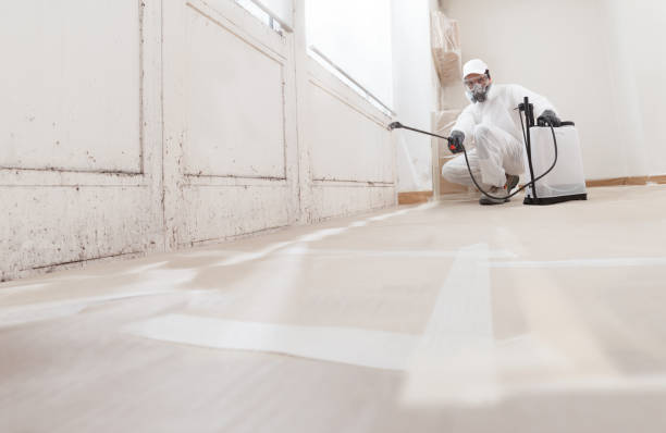 24/7 Emergency Attic Mold Remediation experts in Paradise Valley, AZ