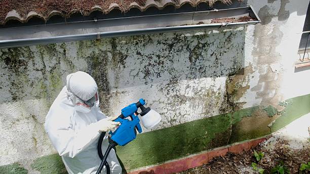 Top rated local Attic Mold Remediation specialists in Paradise Valley, AZ